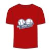 Adult Stars & Stripes T-Shirt Thumbnail
