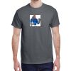 Heavy Cotton™ 5.3 oz. T-Shirt Thumbnail